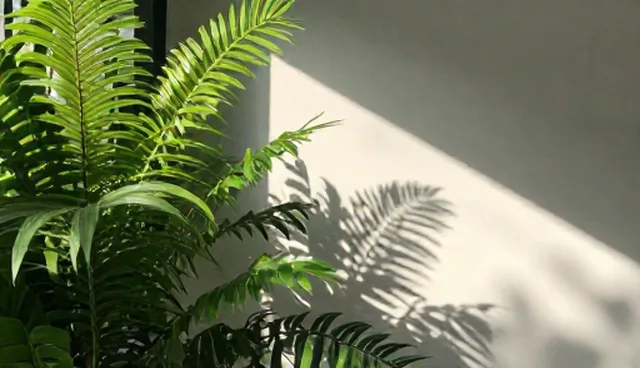 提升数据准确性:企业定制查询服务的选型与使用建议