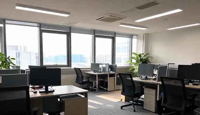 企业定制查询服务的适用条件与选择依据